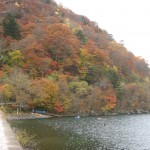 Nikko