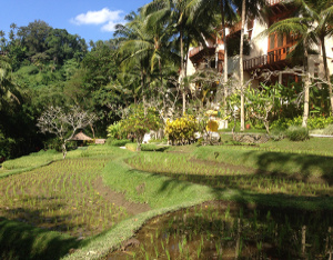 Bali